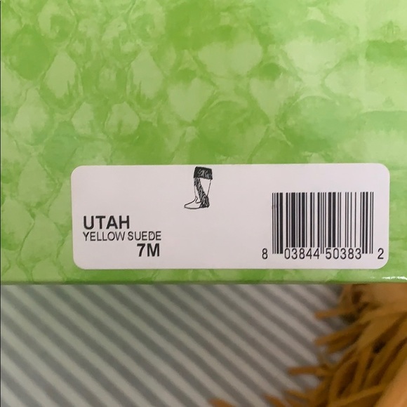 Sam Edelman Fringe Boots (flat) - Picture 6 of 6